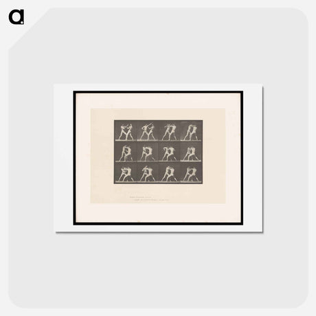 アートポストカード-Pugilists in Motion
 - エドワード マイブリッジ Postcard.