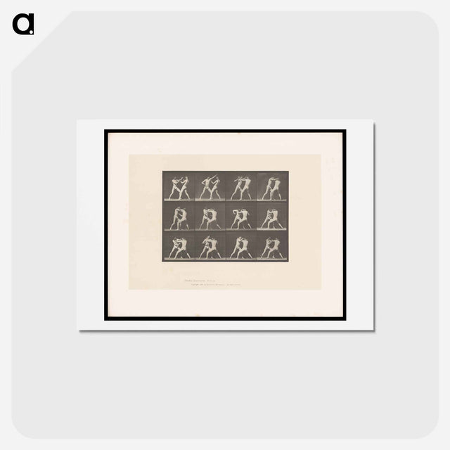 アートポストカード-Pugilists in Motion
 - エドワード マイブリッジ Postcard.