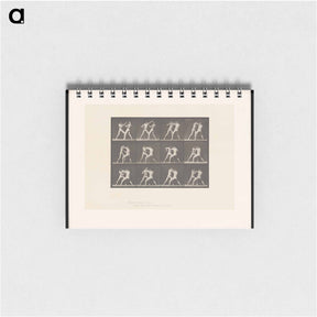 アートメモ帳-Pugilists in Motion
 - エドワード マイブリッジ Memo.