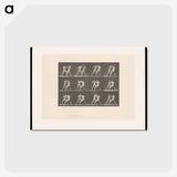 アートポストカード-Pugilists in Motion
 - エドワード マイブリッジ Postcard.