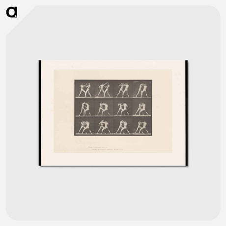 アートポストカード-Pugilists in Motion
 - エドワード マイブリッジ Postcard.