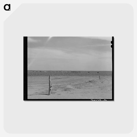 アートポストカード-Baca County Soil Conservation
 - ラッセル リー Postcard.