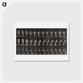 アートポストカード-Woman Drinking
 - エドワード マイブリッジ Postcard.