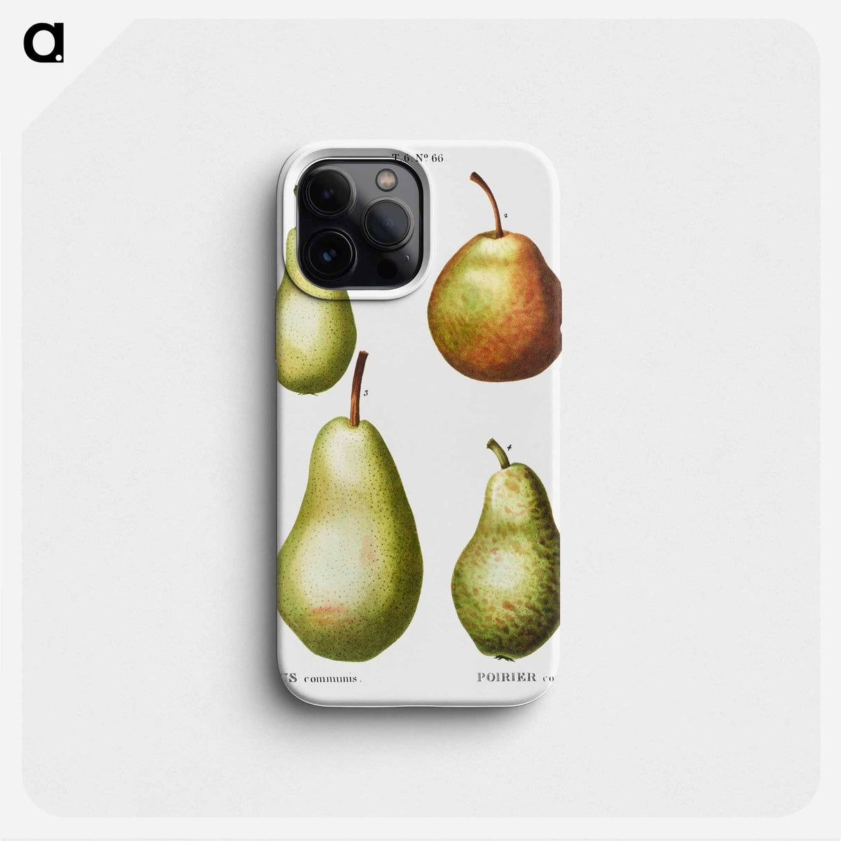 Pear, Pyrus communis - ピエール ジョゼフ ルドゥーテ Phone Case.