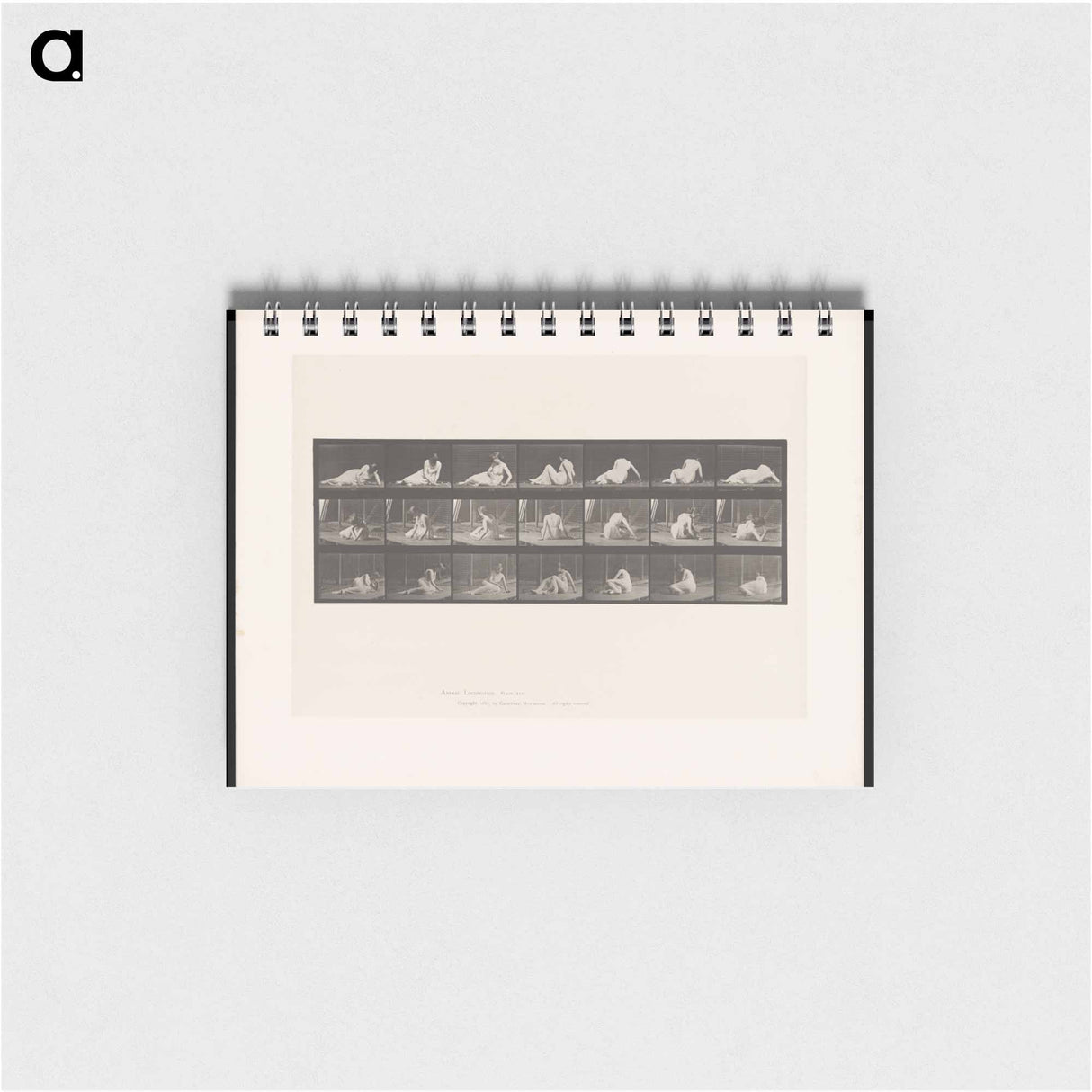 アートメモ帳-Woman Rising
 - エドワード マイブリッジ Memo.