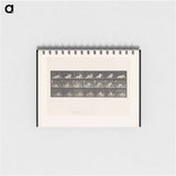 アートメモ帳-Woman Rising
 - エドワード マイブリッジ Memo.
