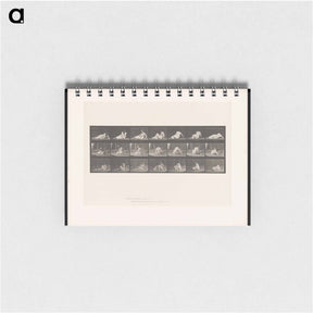 アートメモ帳-Woman Rising
 - エドワード マイブリッジ Memo.