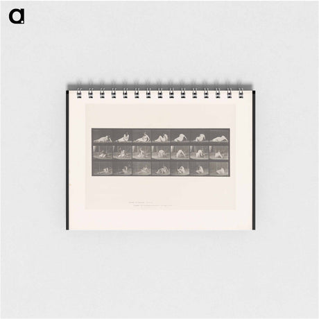 アートメモ帳-Woman Rising
 - エドワード マイブリッジ Memo.