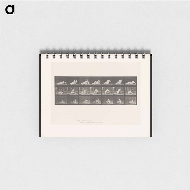 アートメモ帳-Woman Rising
 - エドワード マイブリッジ Memo.