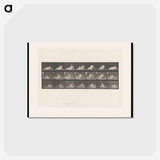 アートポストカード-Woman Rising
 - エドワード マイブリッジ Postcard.