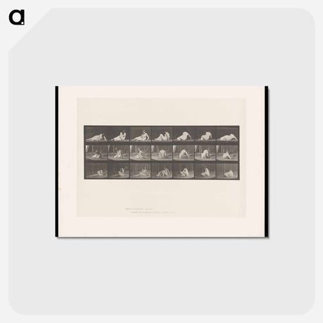 アートポストカード-Woman Rising
 - エドワード マイブリッジ Postcard.