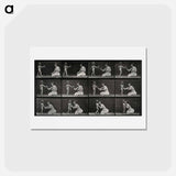 アートポストカード-A Mother's Bouquet
 - エドワード マイブリッジ Postcard.