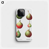 Pear, Pyrus communis - ピエール ジョゼフ ルドゥーテ Phone Case.