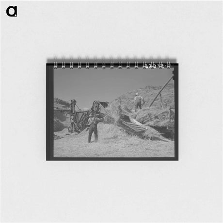アートメモ帳-Harrowed Field at Mineral King Farm
 - ラッセル リー Memo.