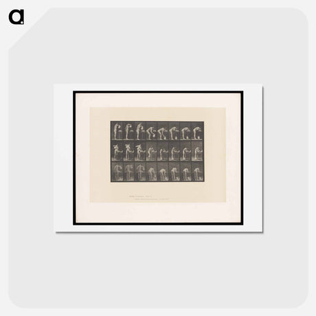 アートポストカード-Washing Face
 - エドワード マイブリッジ Postcard.