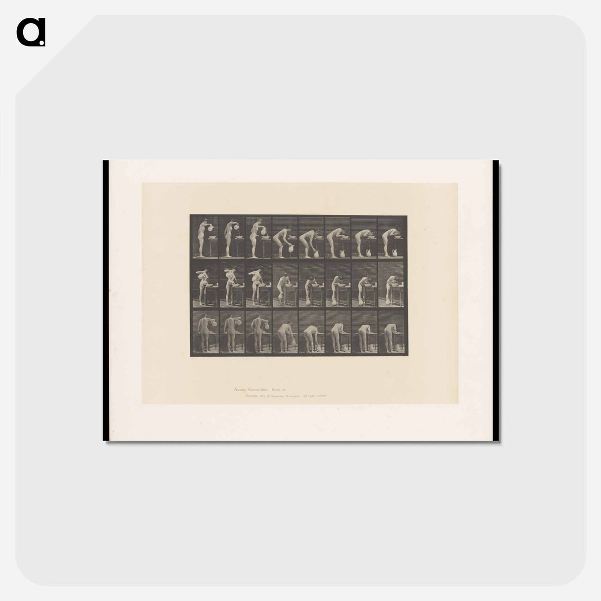 アートポストカード-Washing Face
 - エドワード マイブリッジ Postcard.