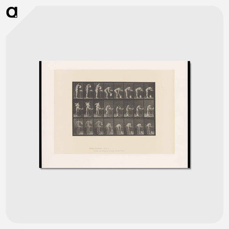 アートポストカード-Washing Face
 - エドワード マイブリッジ Postcard.