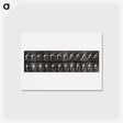 アートポストカード-Crawling Up Stairs
 - エドワード マイブリッジ Postcard.