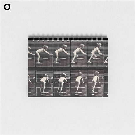 アートメモ帳-Crawling Up Stairs
 - エドワード マイブリッジ Memo.