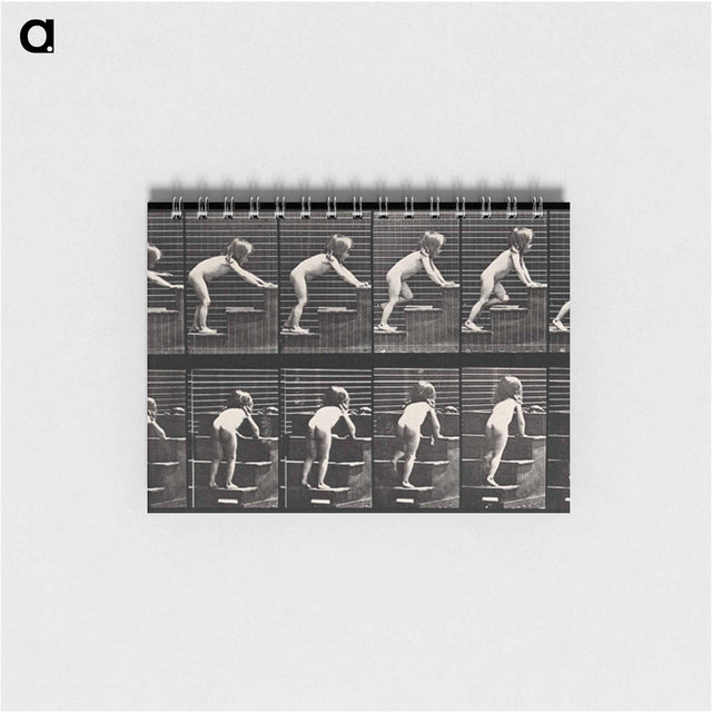 アートメモ帳-Crawling Up Stairs
 - エドワード マイブリッジ Memo.