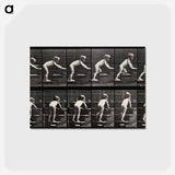 アートポストカード-Crawling Up Stairs
 - エドワード マイブリッジ Postcard.