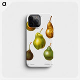 Pear, Pyrus communis - ピエール ジョゼフ ルドゥーテ Phone Case.