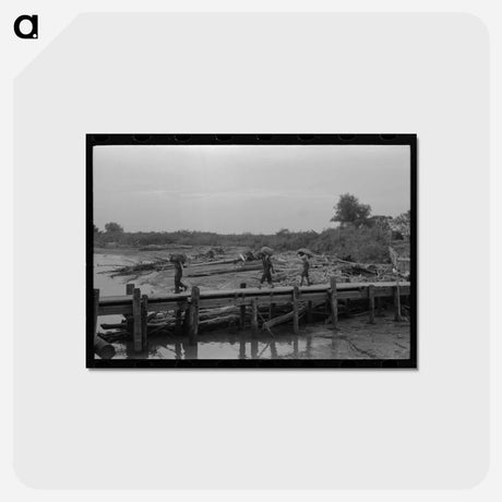 アートポストカード-Unloading Oysters, New Orleans
 - ラッセル リー Postcard.