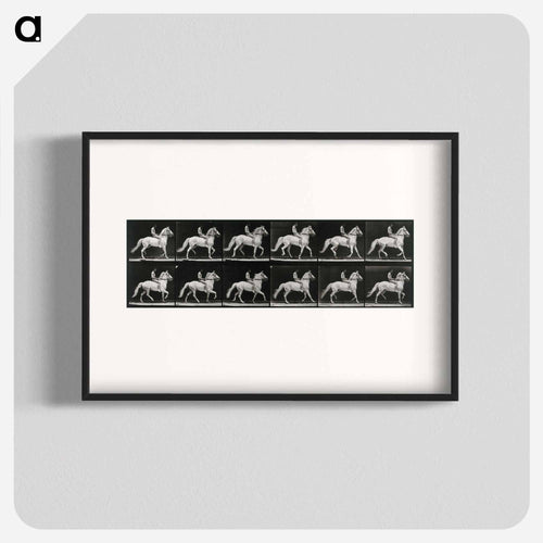Walking Horse
 - エドワード マイブリッジ Poster.