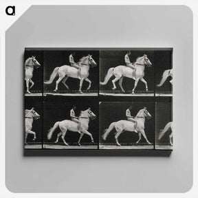 アートパネル-Walking Horse
 - エドワード マイブリッジ Canvas.