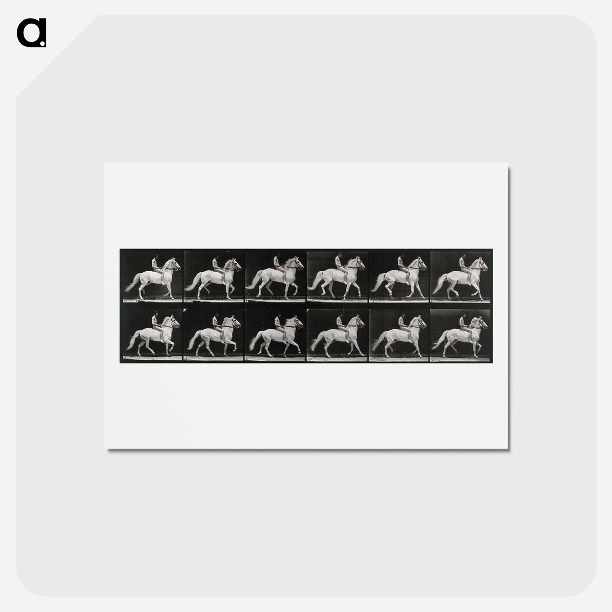アートポストカード-Walking Horse
 - エドワード マイブリッジ Postcard.