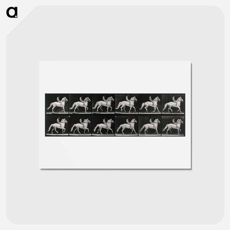 アートポストカード-Walking Horse
 - エドワード マイブリッジ Postcard.
