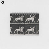 アートメモ帳-Walking Horse
 - エドワード マイブリッジ Memo.