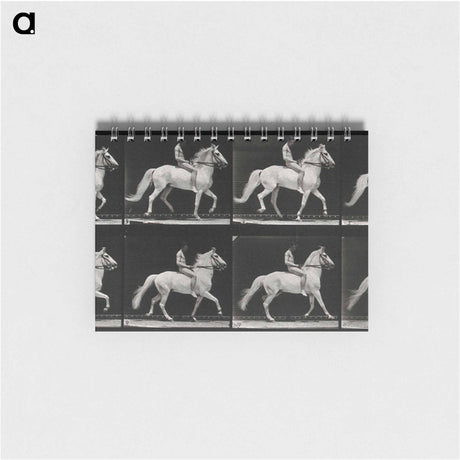 アートメモ帳-Walking Horse
 - エドワード マイブリッジ Memo.