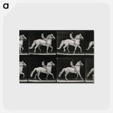 アートポストカード-Walking Horse
 - エドワード マイブリッジ Postcard.