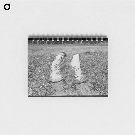 アートメモ帳-Mare Island Workman
 - ラッセル リー Memo.
