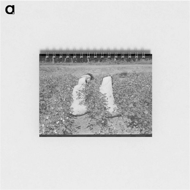 アートメモ帳-Mare Island Workman
 - ラッセル リー Memo.