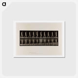 アートポストカード-Naked Woman Walking
 - エドワード マイブリッジ Postcard.