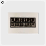 アートポストカード-Naked Woman Walking
 - エドワード マイブリッジ Postcard.