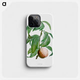 Rock buckthorn, Rhamnus infectorius - Pierre Joseph Redouté Phone Case.