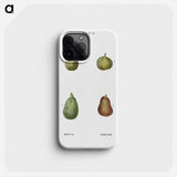 Figs, Ficus - ピエール ジョゼフ ルドゥーテ Phone Case.