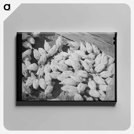 アートパネル-Irrigation Arroyo
 - ラッセル リー Canvas.