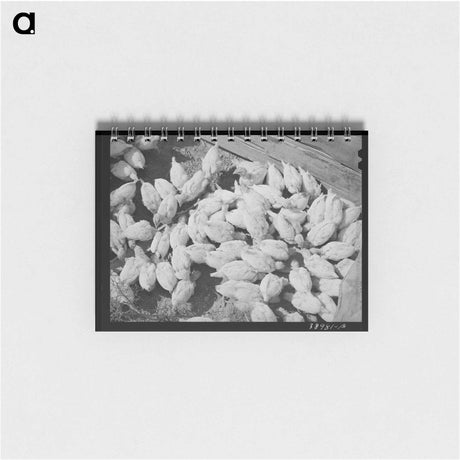 アートメモ帳-Irrigation Arroyo
 - ラッセル リー Memo.