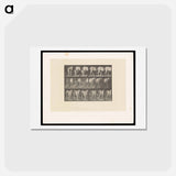 アートポストカード-Shoeing the Horse
 - エドワード マイブリッジ Postcard.