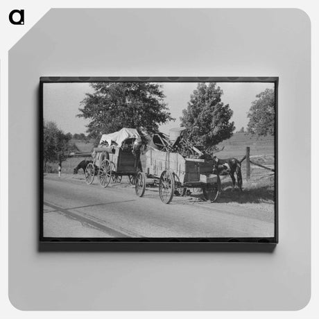 アートパネル-Moss-Covered Rail Fence
 - ラッセル リー Canvas.