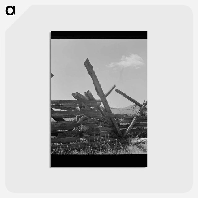 アートポストカード-Moss-Covered Rail Fence
 - ラッセル リー Postcard.