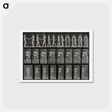 アートポストカード-Two Women Kissing
 - エドワード マイブリッジ Postcard.