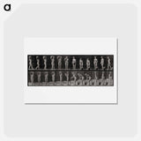 アートポストカード-The Barrel Carrier
 - エドワード マイブリッジ Postcard.