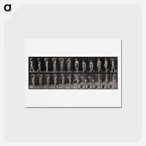 アートポストカード-The Barrel Carrier
 - エドワード マイブリッジ Postcard.