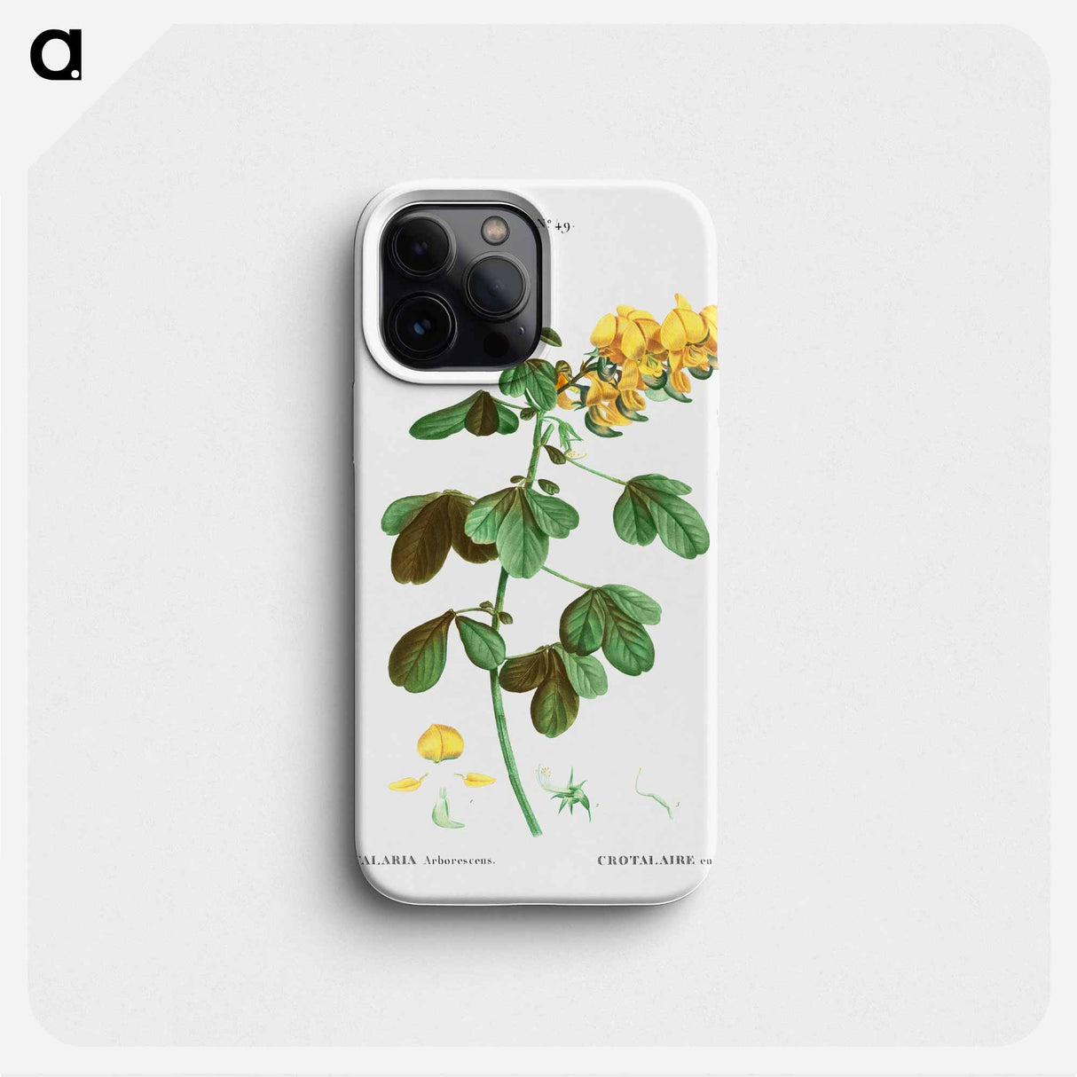 Rattlebox (Crotalaria arborescens) - Pierre Joseph Redouté Phone Case.