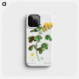 Rattlebox (Crotalaria arborescens) - Pierre Joseph Redouté Phone Case.